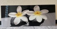 Glasbild Orchideen auf Steinen - 125x50 cm Düsseldorf - Flingern Nord Vorschau