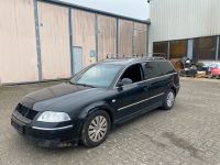 VW Passat 3BG Schlachtfest Teile Ersatzteile Verkauf LC9Z Kreis Ostholstein - Bad Schwartau Vorschau