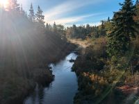 Baugrundstück in Kanada zu verkaufen Bayern - Wassertrüdingen Vorschau