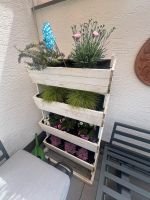 Schönes Hochbett Blumenbeet vertikal - gebraucht weiß Nordrhein-Westfalen - Alfter Vorschau