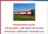 Ankauf Modelleisenbahn-alle Spurgrößen -1 - LGB - 0 - H0 - N - Z Hamburg - Wandsbek Vorschau