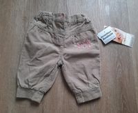 Hose Cordhose Gr.56 Düsseldorf - Heerdt Vorschau