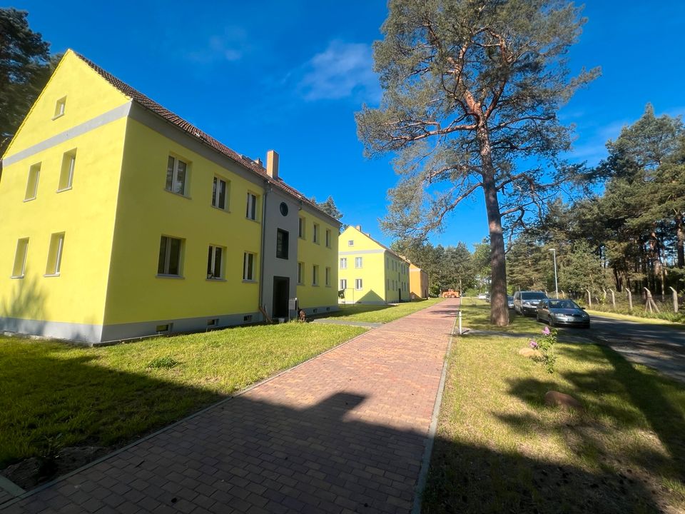 3 Raum Wohnung auch eine 2 Raum Wohnung vorhanden in Bad Schmiedeberg