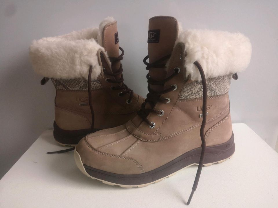 Damen Schuhe Boots UGG GTX AdirondackGr 41 Milch Kaffe Leder Pelz in Duisburg