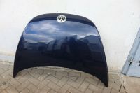 Motorhaube VW New Beetle Cabrio Nordrhein-Westfalen - Eitorf Vorschau