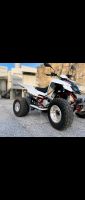 Quad Triton Reactor  450 Access LOF ZULASSUNG Baden-Württemberg - Lenningen Vorschau