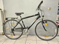 Pegasus Rimini 28 Zoll 24 Gang 54 cm Fahrrad Bayern - Augsburg Vorschau