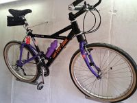 Cannondale Delta V 2000 Vintage 1992 Hessen - Schmitten Vorschau