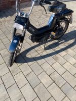 Piagio Vespa sì Mofa Niedersachsen - Bad Bentheim Vorschau