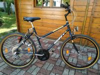 MTB Mountainbike Damen 26 Zoll Bayern - Laaber Vorschau