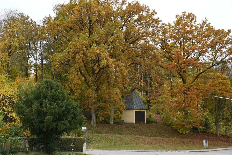 Vor den Toren Regensburgs - Eigentumswohnungen in 93152 Nittendorf, Sonnenstraße in Nittendorf 