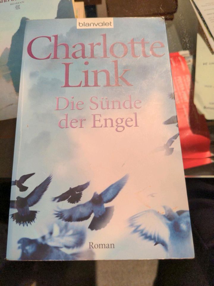 Charlotte Link Die Sünde der Engel in Bonn