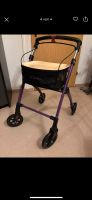 Rollator Mobilex mit Tablett und Tasche NP170€ Sachsen - Großpösna Vorschau