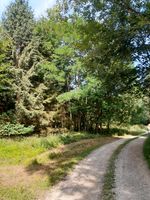 Wald, Forst, Holz Bayern - Ehekirchen Vorschau