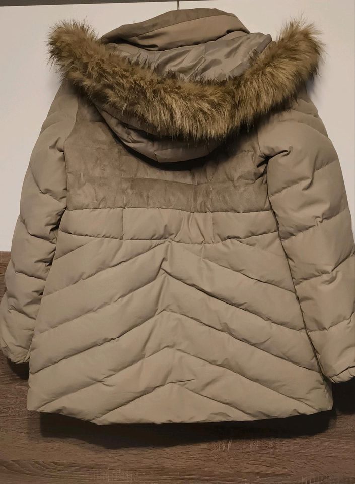 Winterjacke EDC by Esprit, Gr. M in Ingolstadt