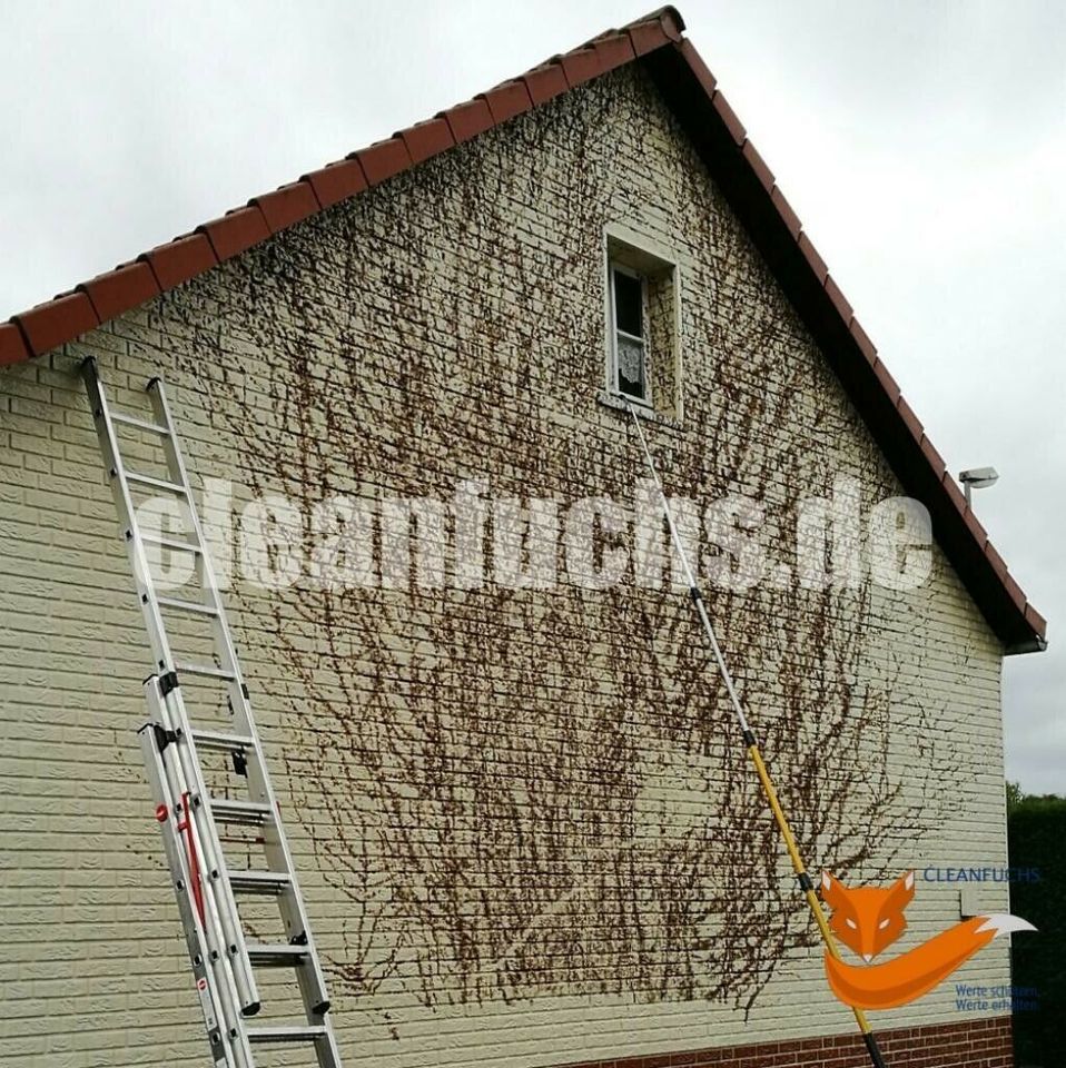 Pflasterreinigung, Hof & Terrassenreinigung, Fassadenreinigung in Gräfenroda