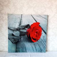 Rote Rose auf Holz Steg ✿ Wandbild Leinwand Dekoration 50 x 50 cm Kiel - Mettenhof Vorschau