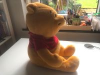 Winnie Pooh mit Tasche für Schlafanzug Düsseldorf - Gerresheim Vorschau