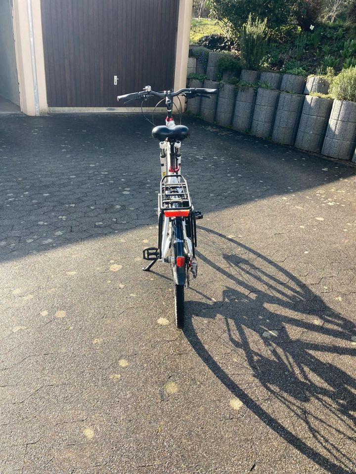 Fahrrad Pegasus Solero SL in Rielasingen-Worblingen