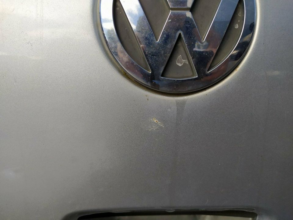 VW Polo 9N, Heckklappe Koferraumklappe LA7W in Lippstadt