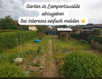 Garten in Lampertswalde Sachsen - Lampertswalde bei Großenhain Vorschau