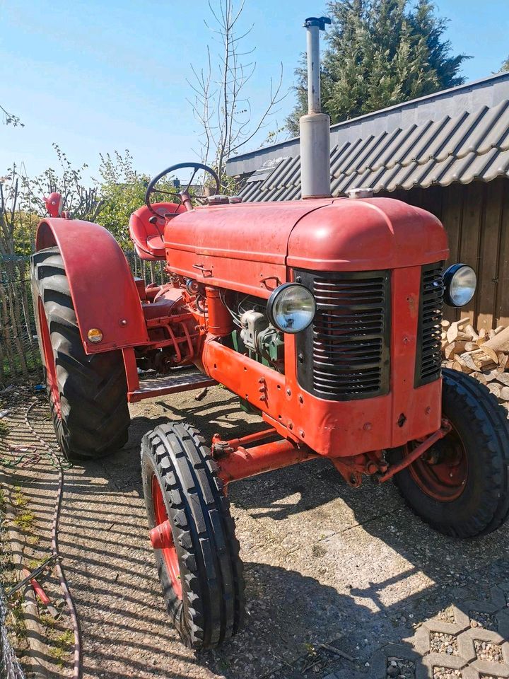 Volvo BM  T31  Schlepper, Traktor in Ratekau