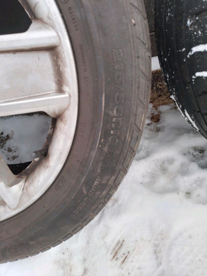 VW Sommer Reifen in Neu Zauche