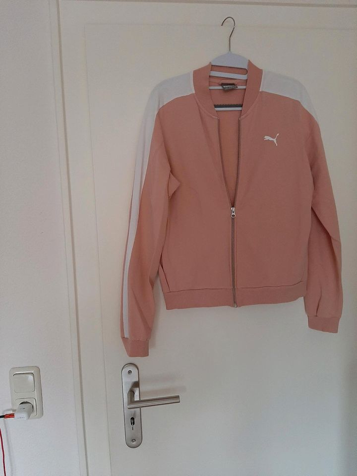 Puma Sweatshirt Jacke Größe L40 in Flensburg