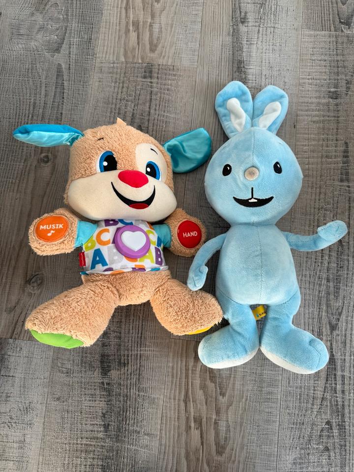 Kikaninchen Plüschtier mit Lieder + Fisher Price Lernspaß Hund in Oschersleben (Bode)