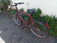 Kalkhoff 28 Zoll Herrenfahrrad Hessen - Seligenstadt Vorschau