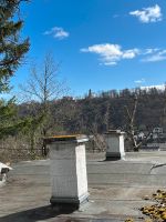 Sanierungsbedürftiges Wochenendhäuschen im Pfälzer Wald Rheinland-Pfalz - Bad Dürkheim Vorschau