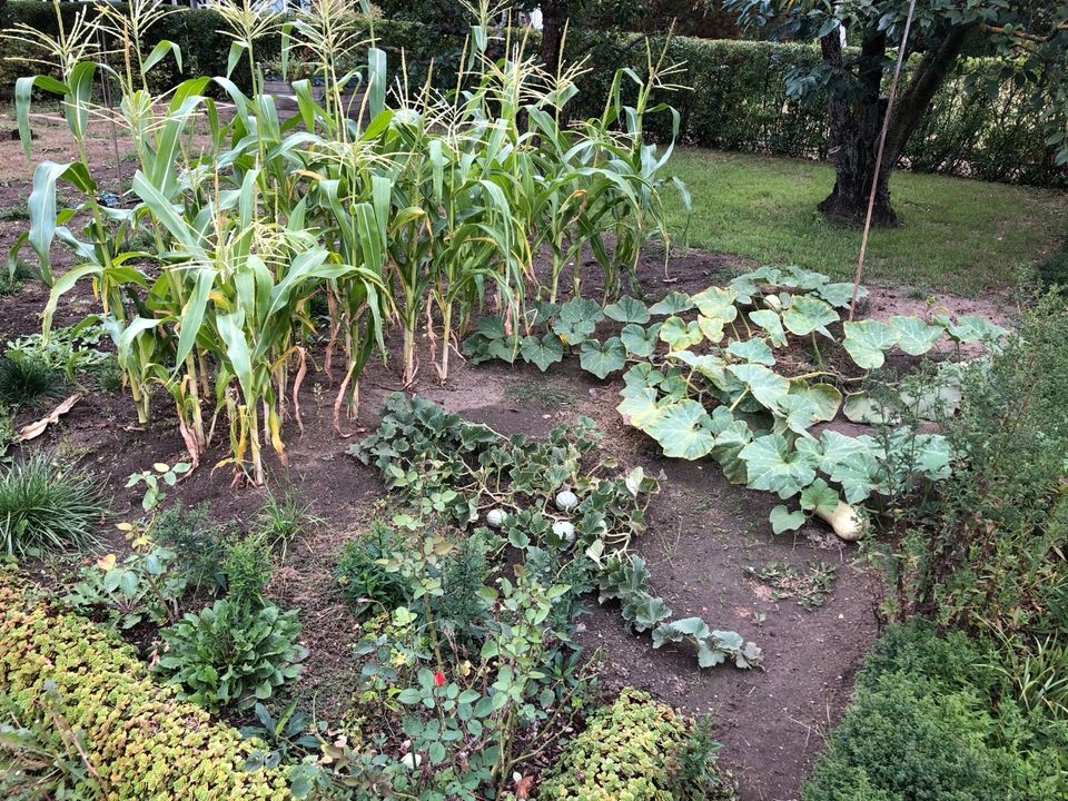 Kleingarten Alt Puppendorf; Pacht; KGV; Garten in SachsenAnhalt