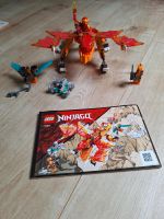 Lego Ninjago Niedersachsen - Lohne (Oldenburg) Vorschau