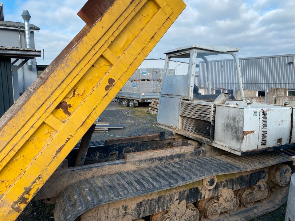 Yanmar C50R1, Dumper, Kettendumper in Bad Soden-Salmünster