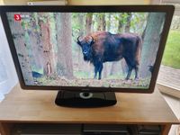 Philips LED TV 40PFL7605H Ambilight Nordrhein-Westfalen - Billerbeck Vorschau