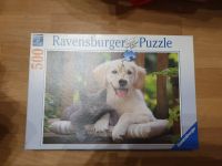 Ravensburger Puzzle 500 Teile Katze Hund Sachsen-Anhalt - Halle Vorschau