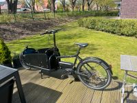 Cargo E Bike Lastenfahrrad Prophete Lastenrad Fahrrad E Bike Mecklenburg-Vorpommern - Stralsund Vorschau