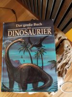 Kinder Dinosaurier  2 Bücher Bayern - Schnaittach Vorschau