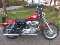 Harley Davidson Sportster XLH 883 Nordrhein-Westfalen - Bottrop Vorschau