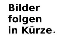 Damenbekleidung Gr. M   je Teil nur 1€ Häfen - Bremerhaven Vorschau