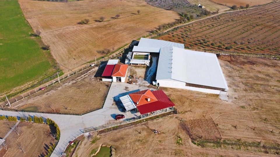 Bauernhof Ihr Träume in Yatagan,  Türkei zu verkaufen in Rodalben