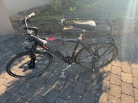 Focus Fahrrad Nordrhein-Westfalen - Detmold Vorschau