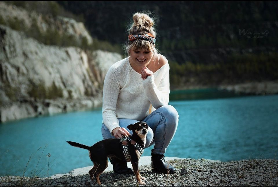 Tierfotografie - Fotograf für Hunde, Katzen und Co. in Salzmünde