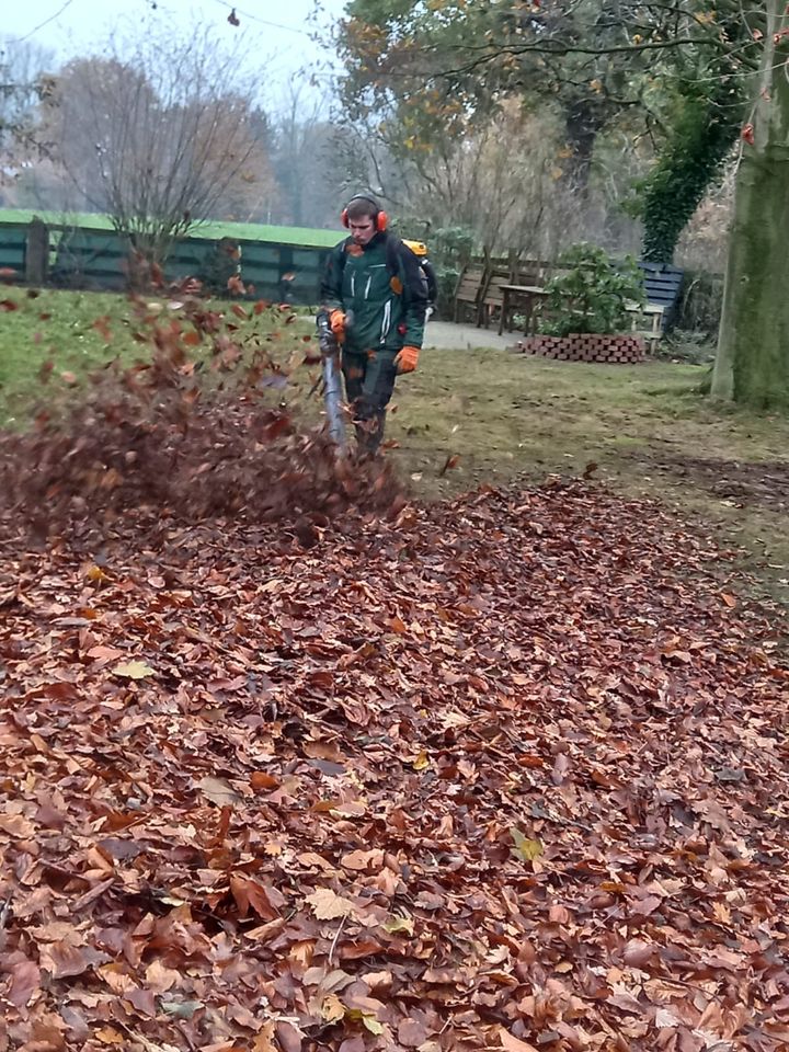 Laubsammeln Gartenpflege Gartenarbeit in Neuenkirchen-Vörden