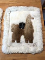 Wandbild Alpaca Lama Peru Leder Fell Dekoration Neu Baden-Württemberg - Schriesheim Vorschau