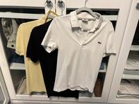 Lacoste Poloshirt / T-Shirt Herren Größe S Hessen - Solms Vorschau