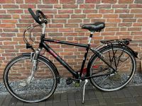 Männer Fahrrad der Marke Kettler Größe 28 - nur Abholung Schleswig-Holstein - Brokstedt Vorschau