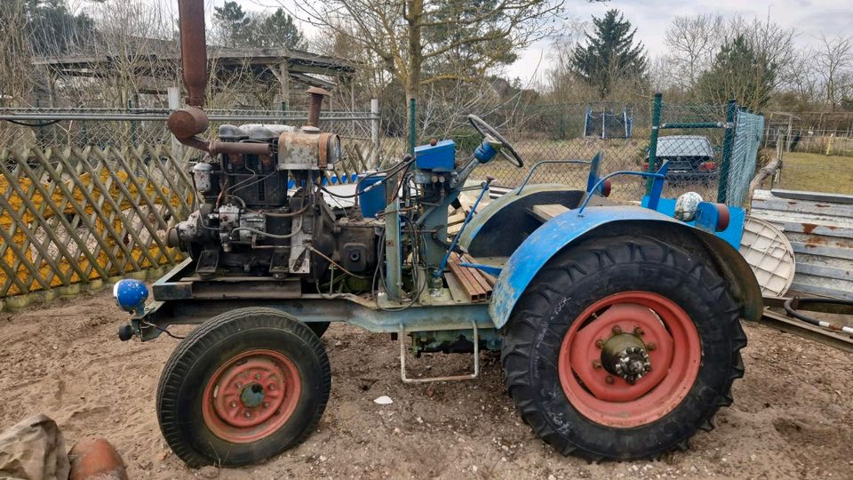 Landwirtschaft traktor in Spreenhagen