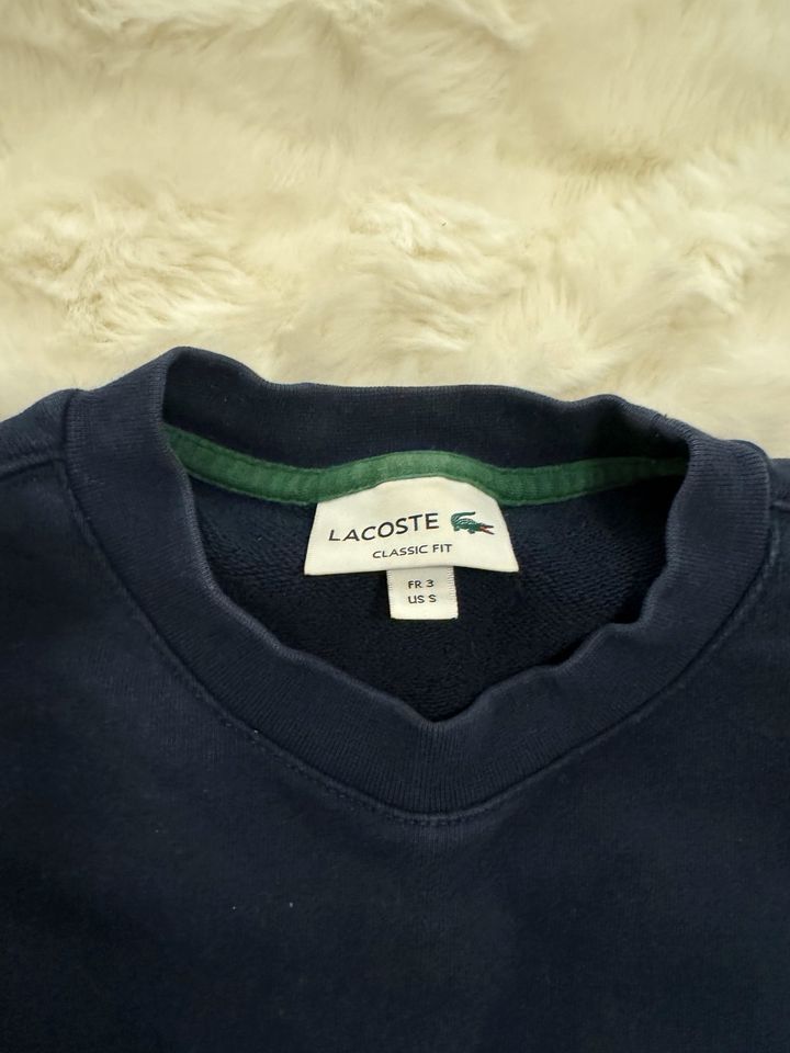 Lacoste Pullover in Hilter am Teutoburger Wald