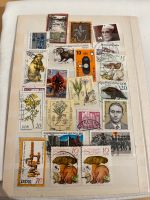 Große DDR Briefmarkensammlung Sachsen - Crimmitschau Vorschau